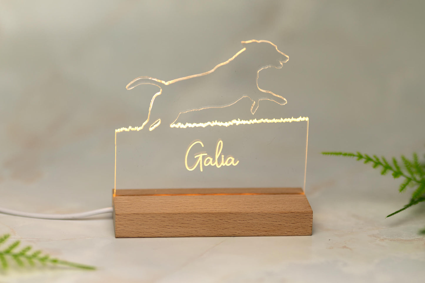 Lampje met gepersonaliseerde gravure