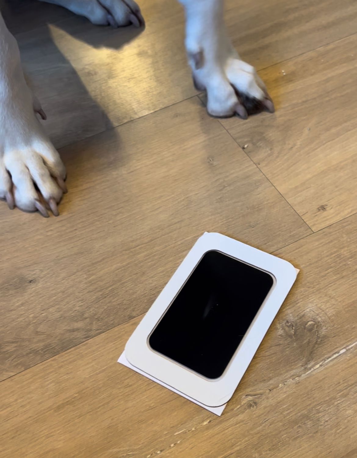 Inktpad voor pootafdruk