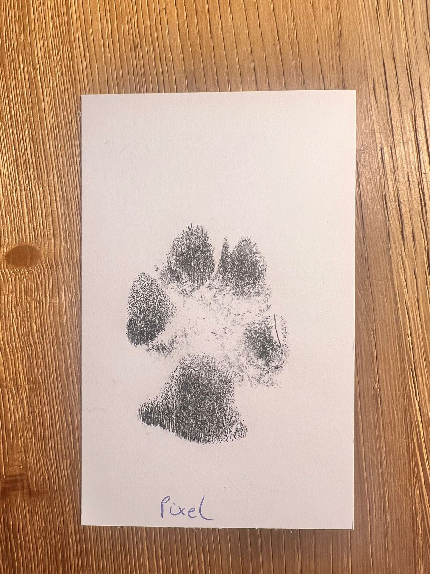 Inktpad voor pootafdruk